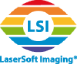 LSI_logo_2011 (1)